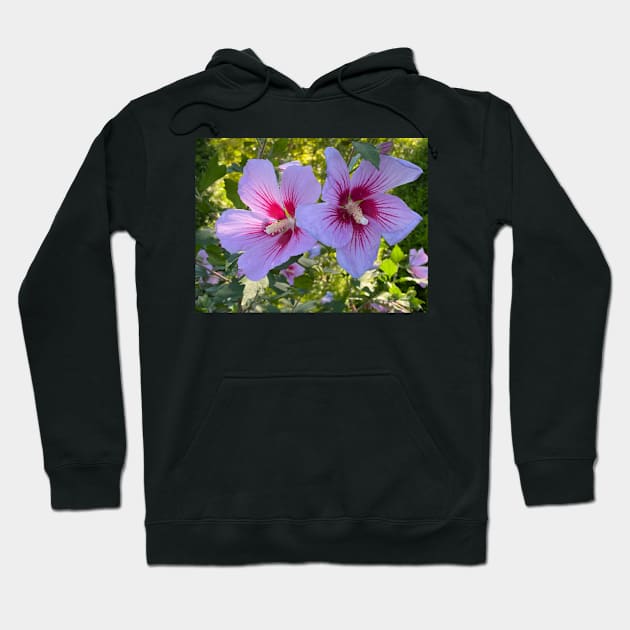 Hibiscus Hoodie by DentistArt2022